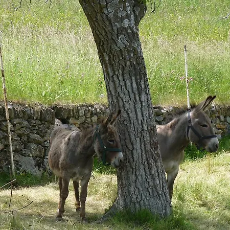 Relais Du Paradis D'hotes Introd