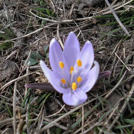 Relais Du Paradis D'hotes ゲストハウス 3*