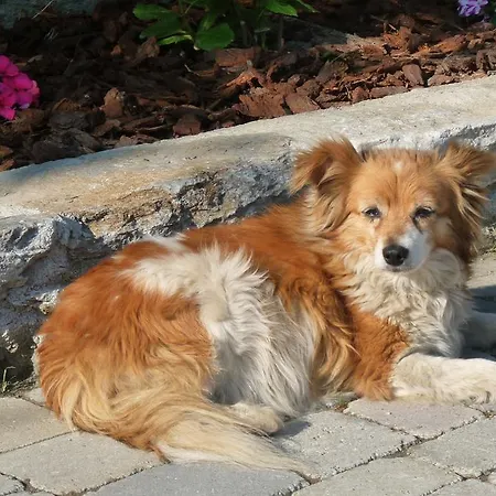 Relais Du Paradis D'hotes ゲストハウス 3*