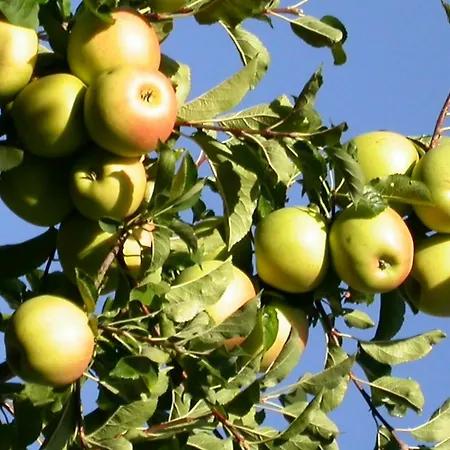 Relais Du Paradis D'hotes ゲストハウス 3*