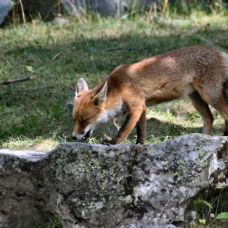 Relais Du Paradis D'hotes 3*