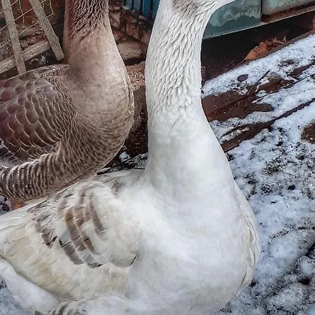 Relais Du Paradis D'hotes