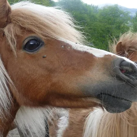 ゲストハウス Relais Du Paradis D'hotes