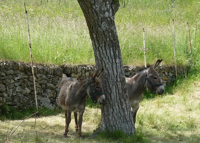 Relais Du Paradis D'hotes アントロ