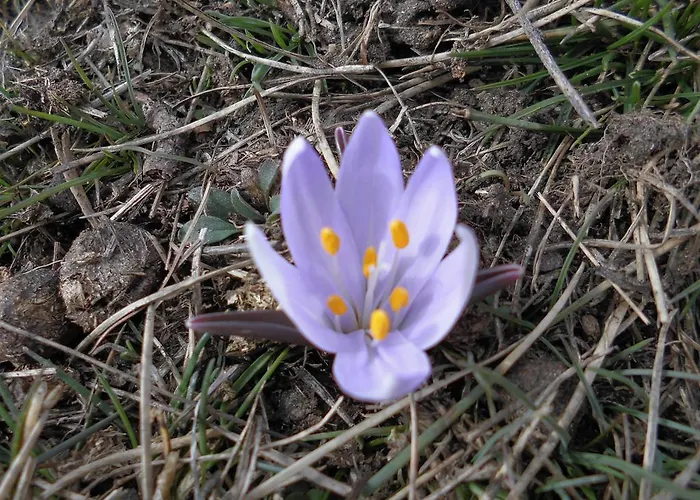 Relais Du Paradis D'hotes ゲストハウス 3*