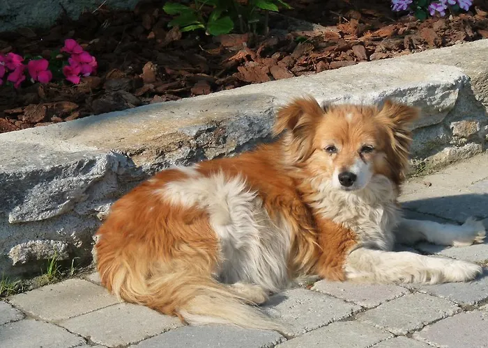 Relais Du Paradis D'hotes ゲストハウス 3*