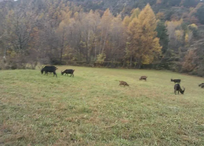 Relais Du Paradis D'hotes 3* アントロ