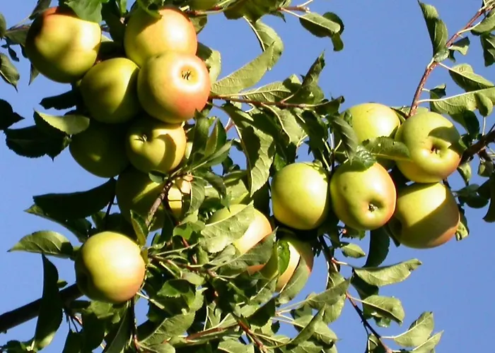 Relais Du Paradis D'hotes ゲストハウス 3*