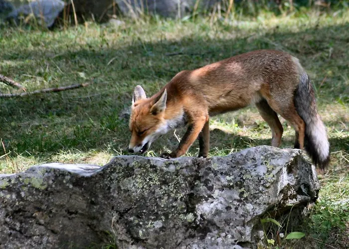 Relais Du Paradis D'hotes 3*