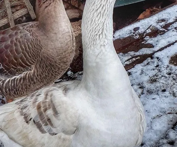 Relais Du Paradis D'hotes