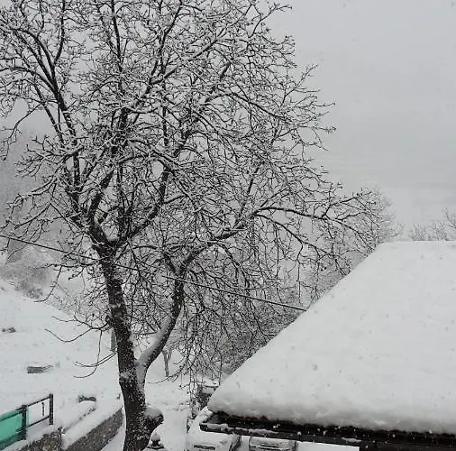 ゲストハウス Relais Du Paradis D'hotes 3*