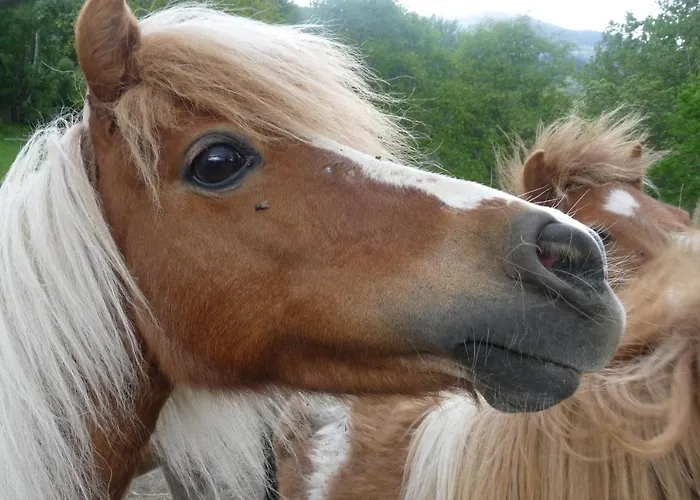 ゲストハウス Relais Du Paradis D'hotes